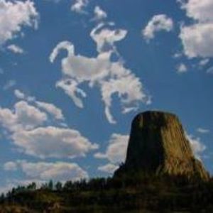 Meet your Posher, Tim